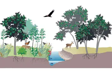 Komünite Özellikleri ve Faydaları Nelerdir?