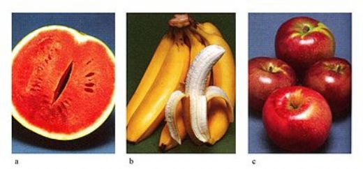 Fidelerde Poliploidi Uygulanması