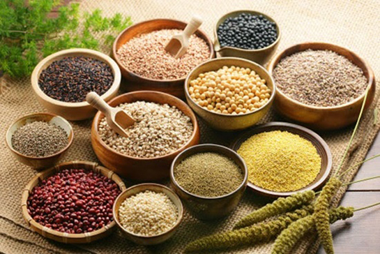 Bitkisel Proteinler Kullanımı ve Faydaları Nelerdir?