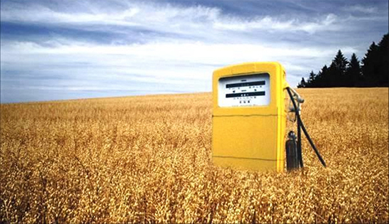 Biyoyakıt Özellikleri ve Faydaları Nelerdir?