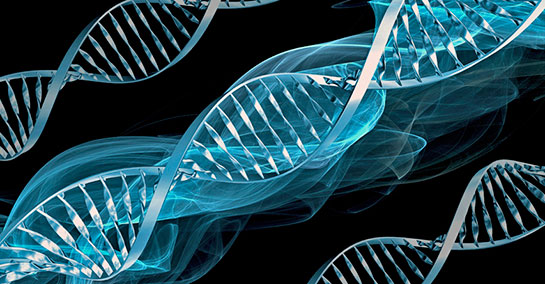 DNA Sarmalı Özellikleri ve Faydaları Nelerdir?