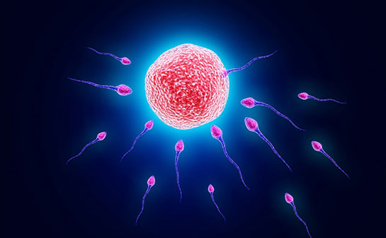 Döllenme Türleri ve Özellikleri