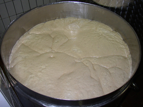 Fermantasyon Özellikleri ve Faydaları Nelerdir?