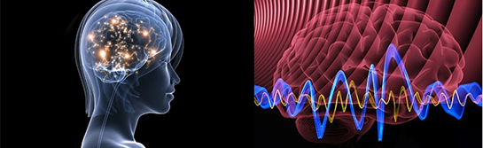 Fizyoloji Özellikleri ve Faydaları Nelerdir?