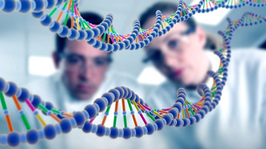 Genetik Özellikleri ve Faydaları Nelerdir?