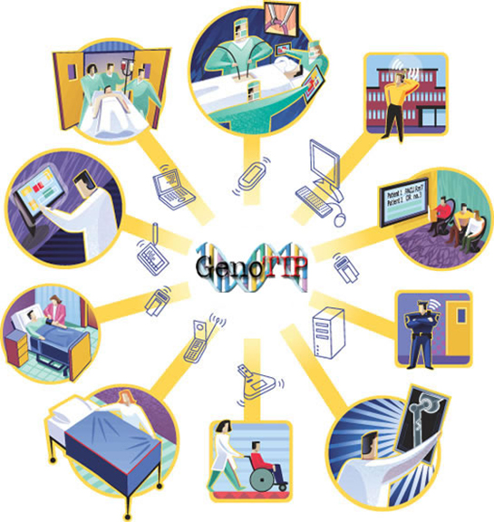 Genotip Özellikleri ve Faydaları Nelerdir?