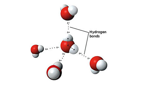 Hidrojen Bağı Özellikleri ve Faydaları Nelerdir?