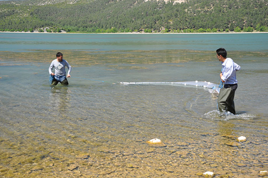 Limnoloji Özellikleri ve Faydaları Nelerdir?