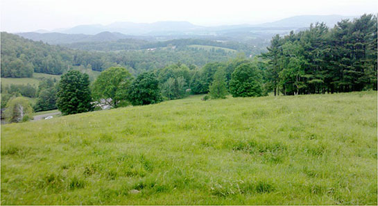 Mera Özellikleri ve Faydaları Nelerdir?