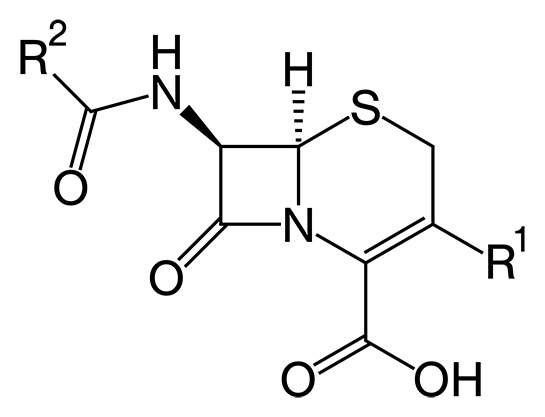 Sefalosporin Özellikleri ve Faydaları Nelerdir?